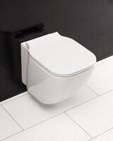 Унитаз безободковый подвесной BelBagno ALDINA BB114CH Унитаз безободковый подвесной BelBagno ALDINA BB114CH